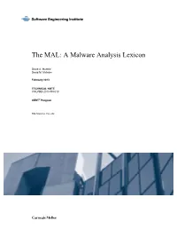 A Malware Analysis Lexicon
