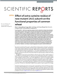 Effect of Extra Cysteine Residue of New Mutant 1Ax1 Subunit on The