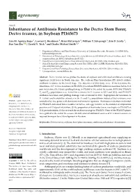 Inheritance of Antibiosis Resistance to the Dectes Stem Borer, Dectes Texanus, in Soybean PI165673
