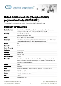 Rabbit Anti-Human LIG4 (Phospho-Thr650) Polyclonal Antibody (CABT-L3791) This Product Is for Research Use Only and Is Not Intended for Diagnostic Use