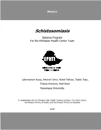 Schistosomiasis: Diploma Program
