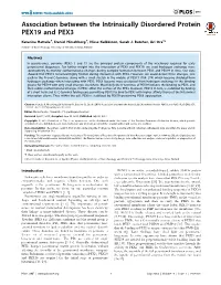 Association Between the Intrinsically Disordered Protein PEX19 and PEX3