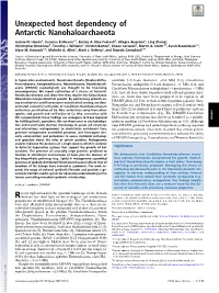 Unexpected Host Dependency of Antarctic Nanohaloarchaeota