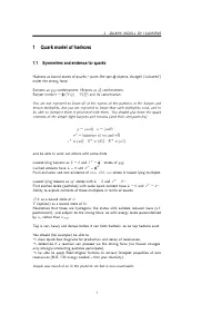 1 Quark Model of Hadrons