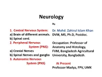 Nervous System (CNS): Consisting of Brain and Spinal Cord