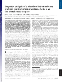 Enzymatic Analysis of a Rhomboid Intramembrane Protease Implicates