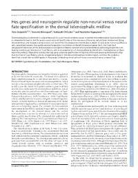 Hes Genes and Neurogenin Regulate Non-Neural Versus Neural Fate