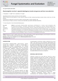 Hysterangiales Revisited: Expanded Phylogeny Reveals New Genera and Two New Suborders