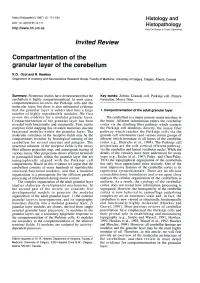 Invited Review Compartmentation of the Granular Layer of the Cerebellum