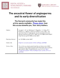 The Ancestral Flower of Angiosperms and Its Early Diversification