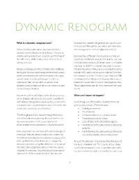 Dynamic Renogram