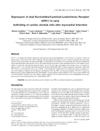 Expression of Dual Nucleotidescysteinylleukotrienes