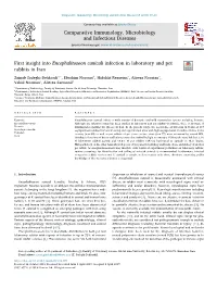 First Insight Into Encephalitozoon Cuniculi Infection in Laboratory And