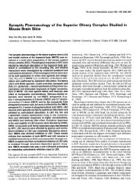 Synaptic Pharmacology of the Superior Olivary Complex Studied in Mouse Brain Slice