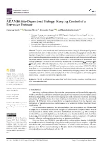 ADAM10 Site-Dependent Biology: Keeping Control of a Pervasive Protease