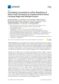 Circulating Concentrations of Key Regulators of Nitric Oxide Production in Undernourished Sheep Carrying Single and Multiple Fetuses