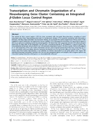 Transcription and Chromatin Organization of a Housekeeping Gene Cluster Containing an Integrated B-Globin Locus Control Region