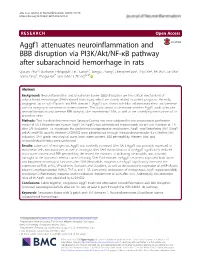 Aggf1 Attenuates Neuroinflammation and BBB Disruption Via PI3K/Akt/NF-Κb Pathway After Subarachnoid Hemorrhage in Rats