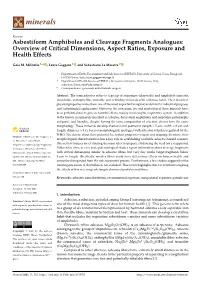Asbestiform Amphiboles and Cleavage Fragments Analogues: Overview of Critical Dimensions, Aspect Ratios, Exposure and Health Effects