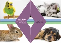 MSPCA Spring Gala Before After