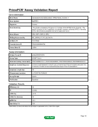 Primepcr™Assay Validation Report