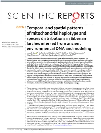 Temporal and Spatial Patterns of Mitochondrial Haplotype And