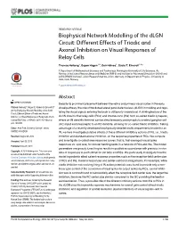 Biophysical Network Modelling of the Dlgn Circuit: Different Effects of Triadic and Axonal Inhibition on Visual Responses of Relay Cells