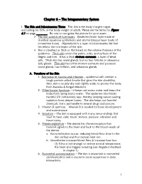Chapter 6 – the Integumentary System