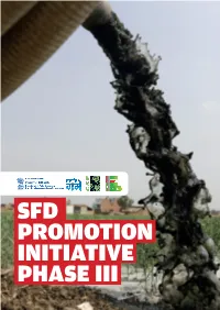 Sfd Promotion Initiative Phase