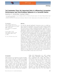 Tail Autotomy Plays No Important Role in Influencing Locomotor Performance and Antipredator Behavior in a Cursorial Gecko