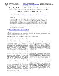 Morphological and Anatomical Diversity Study on Three Species of Amaranthus Namely; A