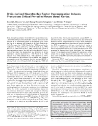 T€ Brain-Derived Neurotrophic Factor Overexpression Induces Precocious Critical Period in Mouse Visual Cortex
