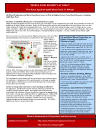 The Race Against Ug99 Stem Rust in Wheat