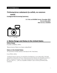 Trichomycterus Cubataonis (A Catfish, No Common Name) Ecological Risk Screening Summary