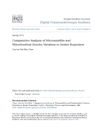 Comparative Analysis of Microsatellite and Mitochondrial Genetic Variation in Ixodes Scapularis