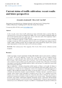 Current Status of Truffle Cultivation: Recent Results and Future Perspectives ______Alessandra Zambonelli1, Mirco Iotti1, Ian Hall2