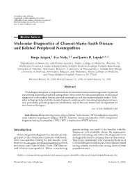 Molecular Diagnostics of Charcot-Marie-Tooth Disease and Related Peripheral Neuropathies