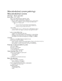 Musculoskeletal System Pathology Musculoskeletal System Structure - Bones and Joints Bones [Figs