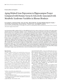 Aging-Related Gene Expression in Hippocampus Proper Compared with Dentate Gyrus Is Selectively Associated with Metabolic Syndrome Variables in Rhesus Monkeys