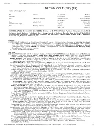 BROWN COLT (NZ) (19) Foaled 24Th August 2019