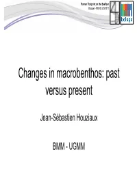 Changes in Macrobenthos: Past Versus Present