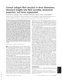 Corneal Collagen Fibril Structure in Three Dimensions: Structural Insights Into Fibril Assembly, Mechanical Properties, and Tissue Organization