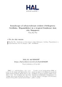 Soundscape of Urban-Tolerant Crickets (Orthoptera: Gryllidae, Trigonidiidae) in a Tropical Southeast Asia City, Singapore Ming Kai Tan