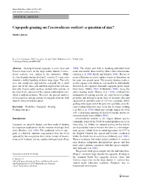 Copepods Grazing on Coscinodiscus Wailesii: a Question of Size?