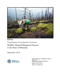 FINAL Programmatic Environmental Assessment Wildfire Hazard Mitigation Projects in the State of Montana