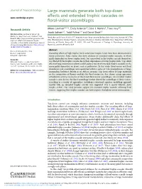 Large Mammals Generate Both Top-Down Effects and Extended