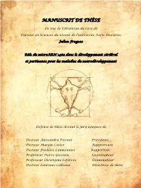 Manuscrit De Thèse