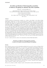 Secondary Production of Chasmagnathus