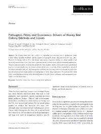 Drivers of Honey Bee Colony Declines and Losses