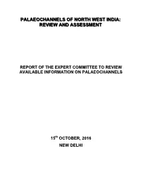 Palaeochannels of North West India: Review and Assessment